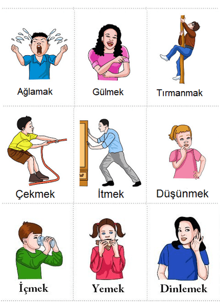 ریشه فعل در ترکی استانبولی