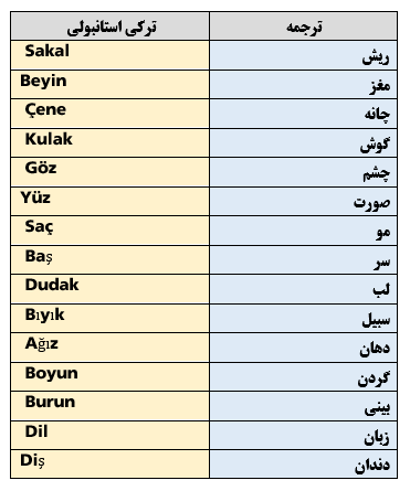 اعضای بدن ترکی استانبولی