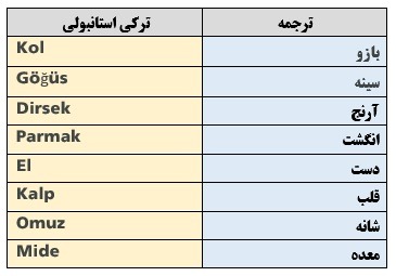 اعضای بدن ترکی استانبولی2