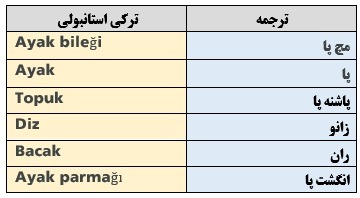 اعضای بدن ترکی استانبولی3