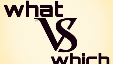 what vs which