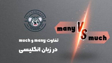 تفاوت many با much