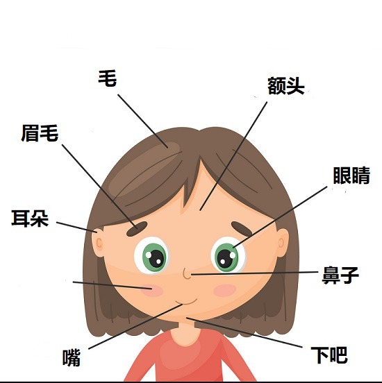 آموزش اعضای بدن در زبان چینی