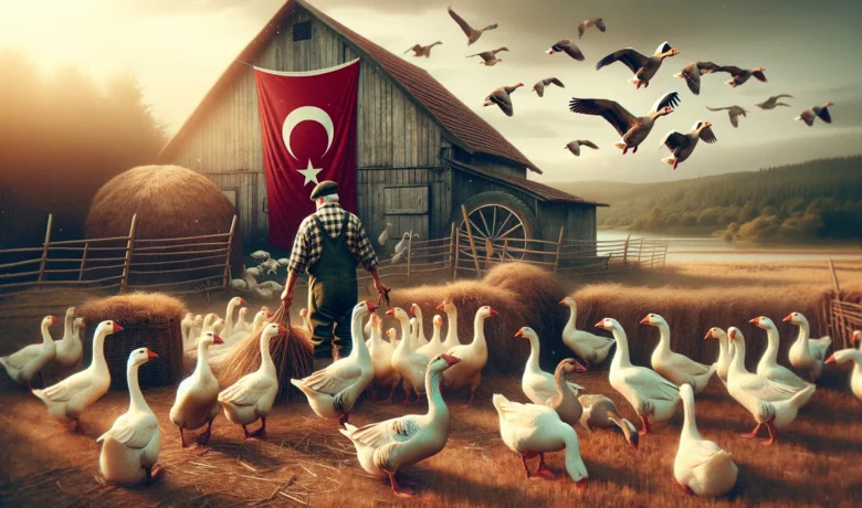 داستان ترکی استانبولی