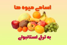 اسامی میوه ها ترکی استانبولی