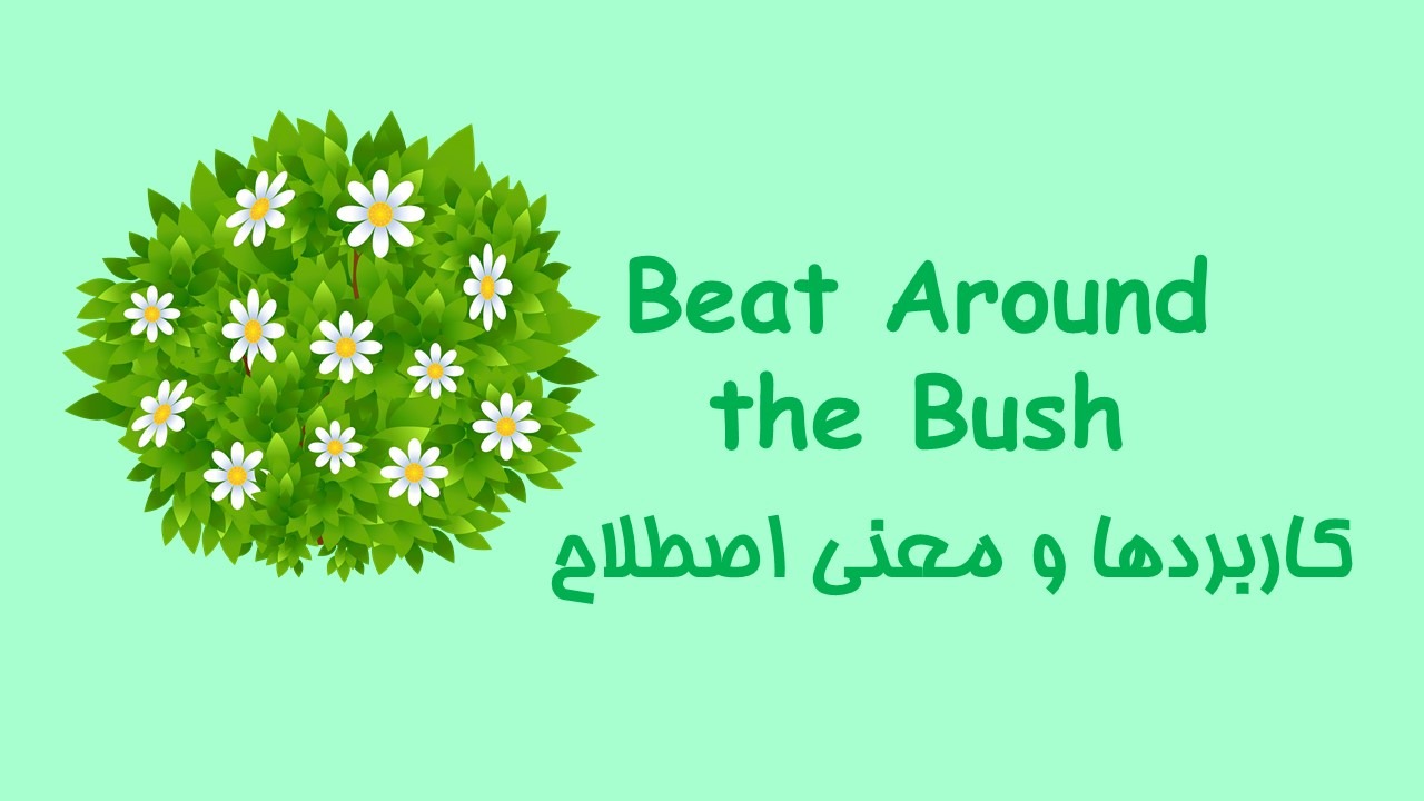 beat around the bush