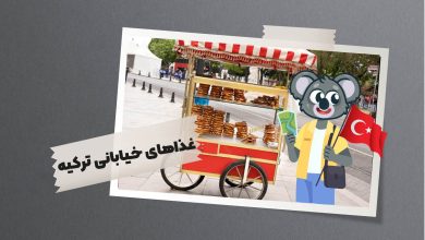 غذاهای خیابانی ترکیه