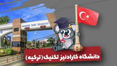 دانشگاه کارادنیز ترکیه