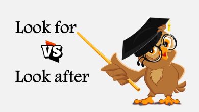 look for vs look after