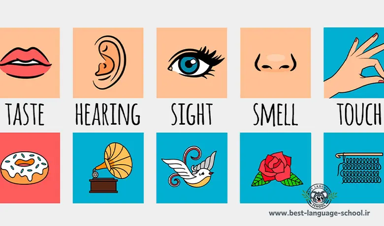 حواس پنجگانه به انگلیسی 