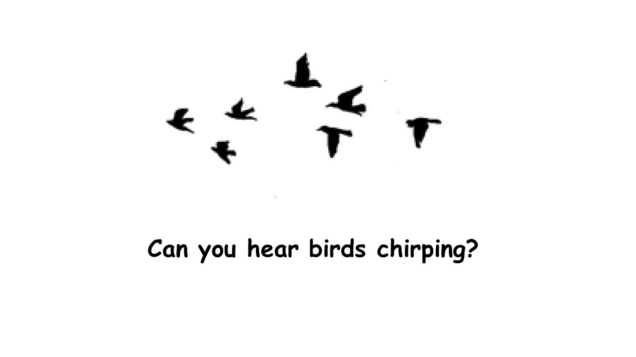 birds chirping