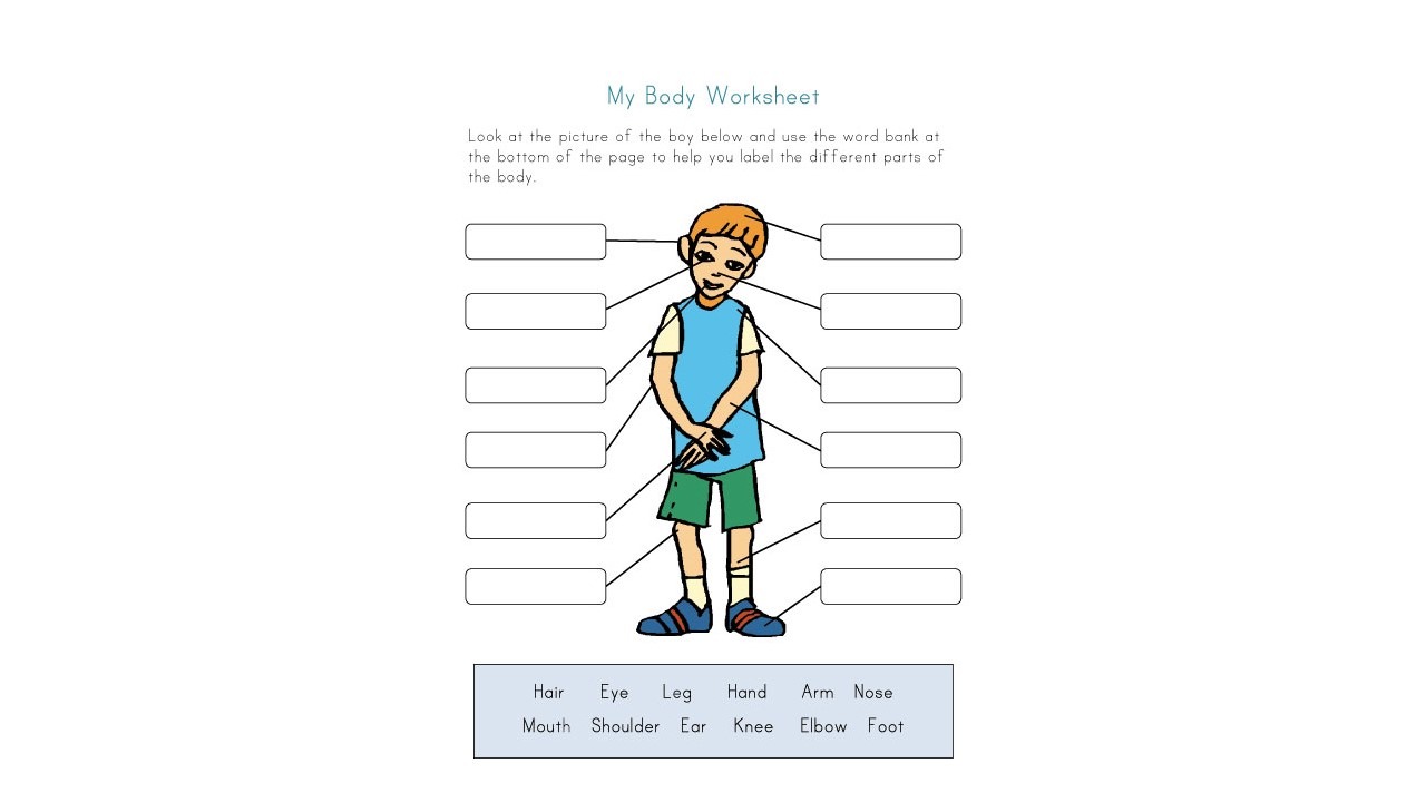 body parts excercise