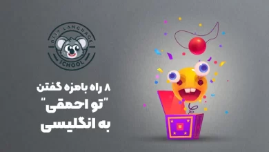 تو احمقی به انگلیسی