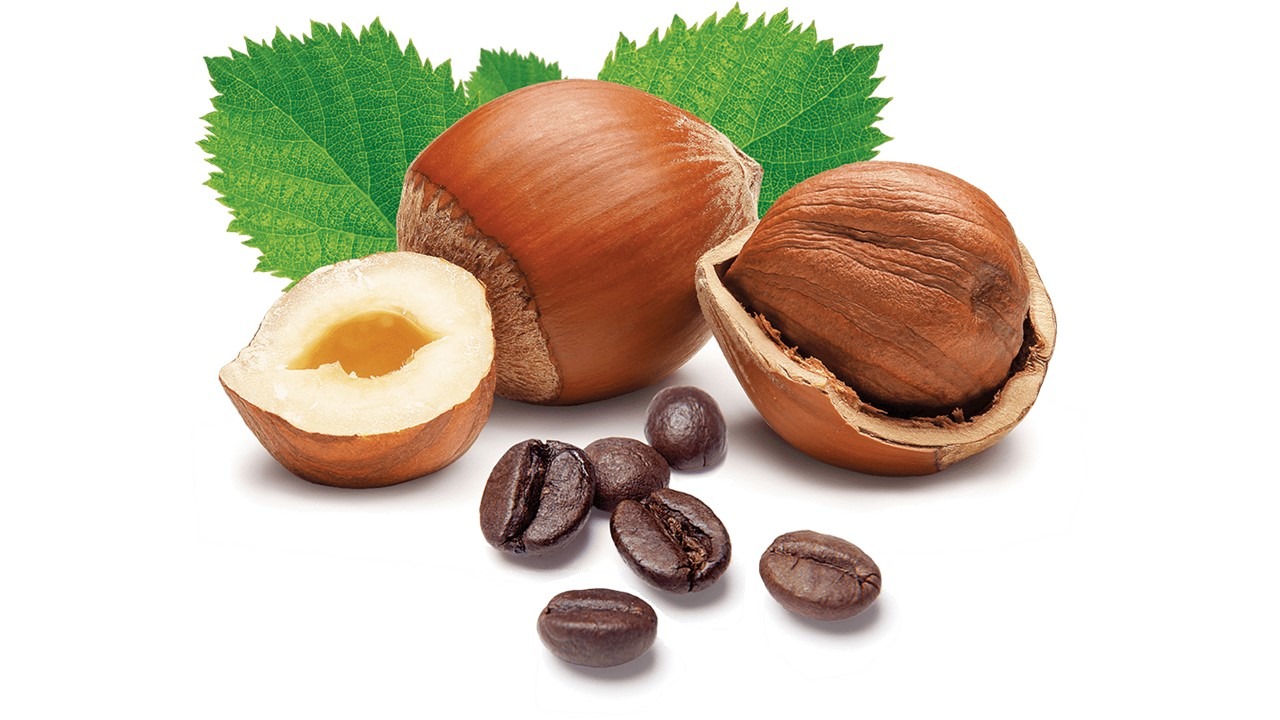 hazelnut