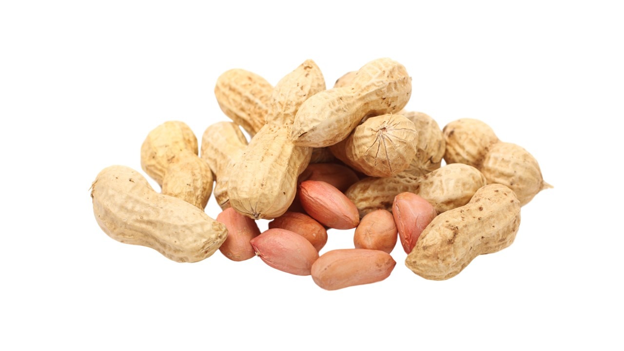 peanut