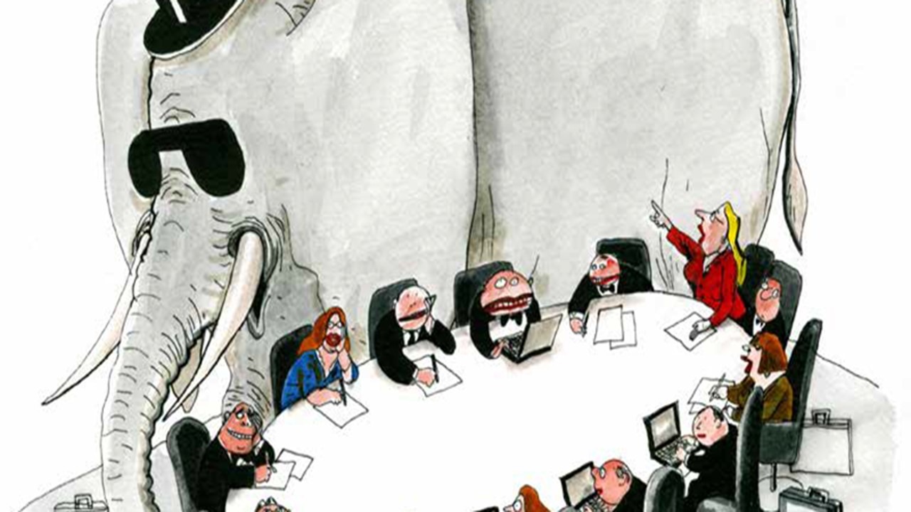 the elephant in the room