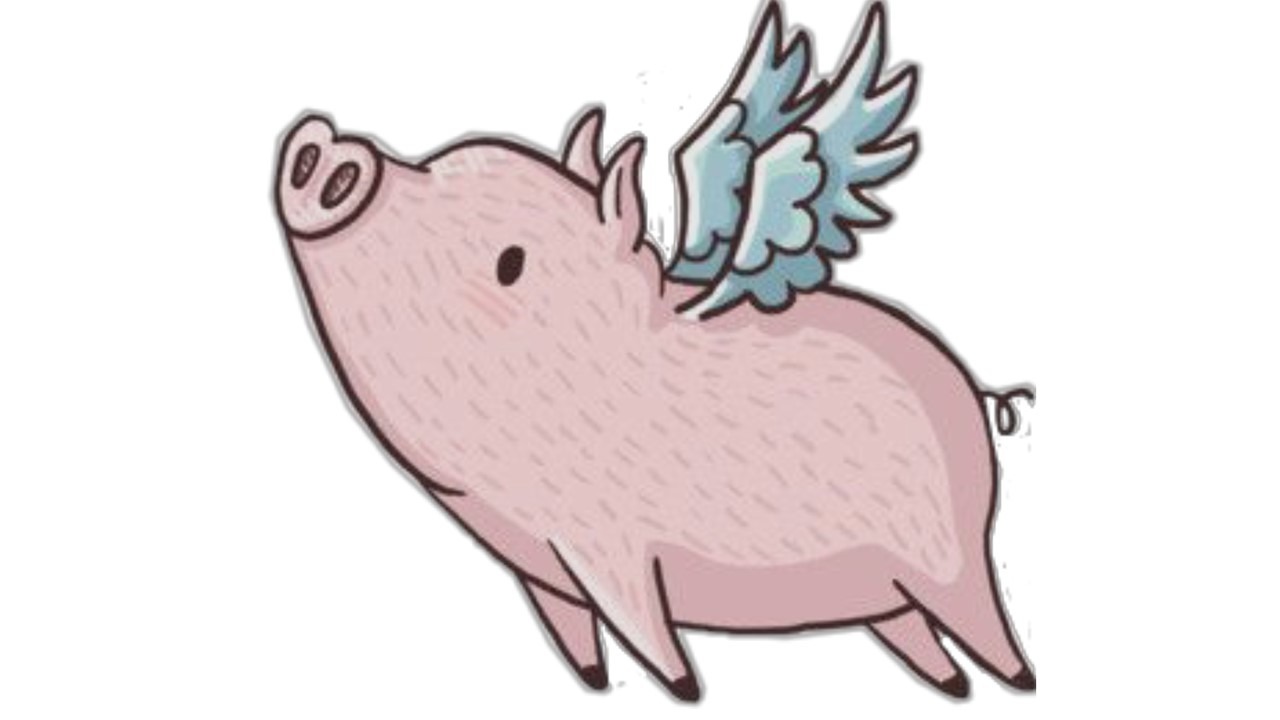 when pigs fly