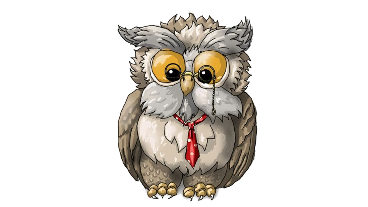 A Wise Old Owl