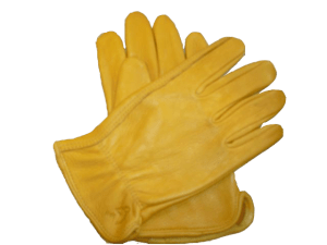 gloves
