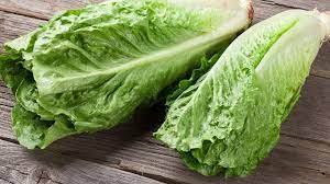 lettuce