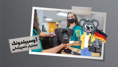 برای اینکه بتوانید در این جایگاه شغلی دوام آورید باید علاقه ذاتی به حیوانات داشته و از توان جسمی بالایی برخوردار باشید.