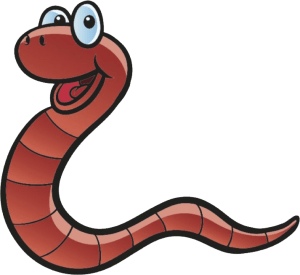 worm