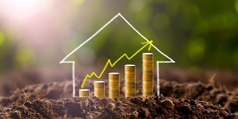 سرمایه گذاری برای دریافت شهروندی ترکیه 