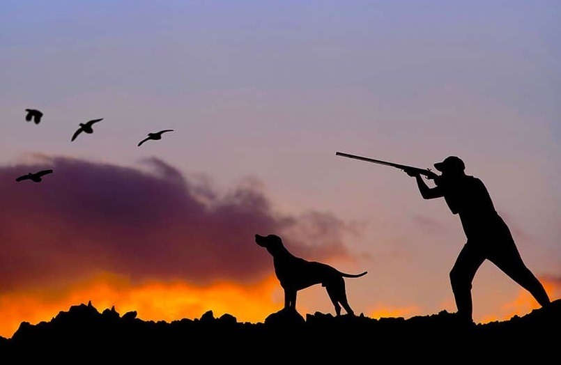شکار در ترکیه2