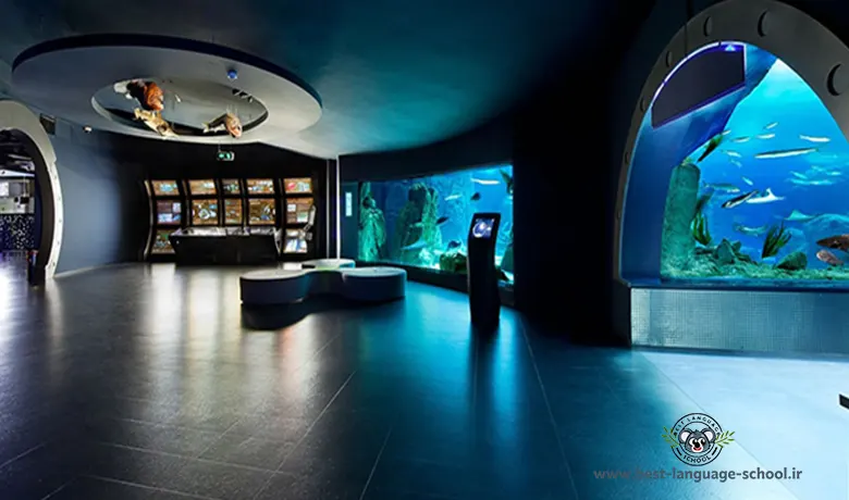 آکواریوم استانبول