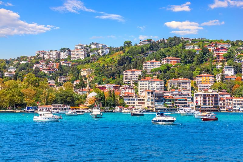 Bebek Park