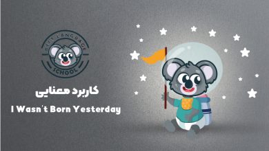 I wasn't born yesterday