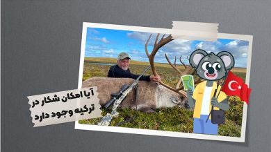 شکار در ترکیه