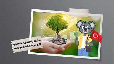 هزینه های راه اندازی کسب و کار و سرمایه گذاری در ترکیه