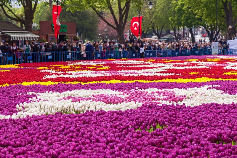 پارک در استانبول