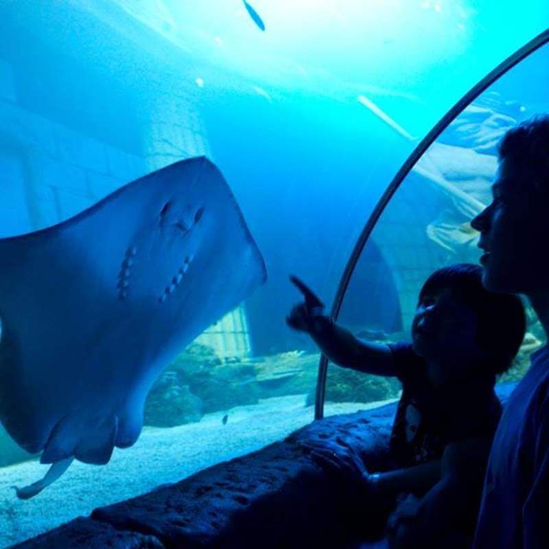 بهترین اکواریوم در استانبول