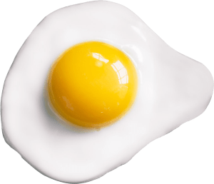sunny side up egg