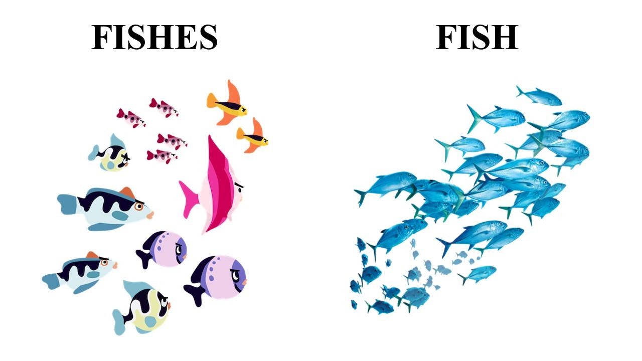 fish-fishes