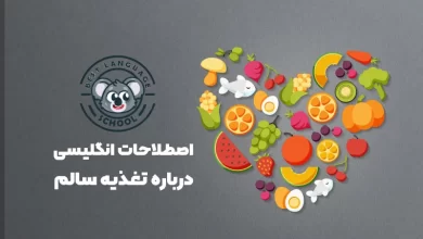 تغذیه در انگلیسی