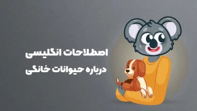 اصطلاحات حیوانات خانگی در زبان انگلیسی