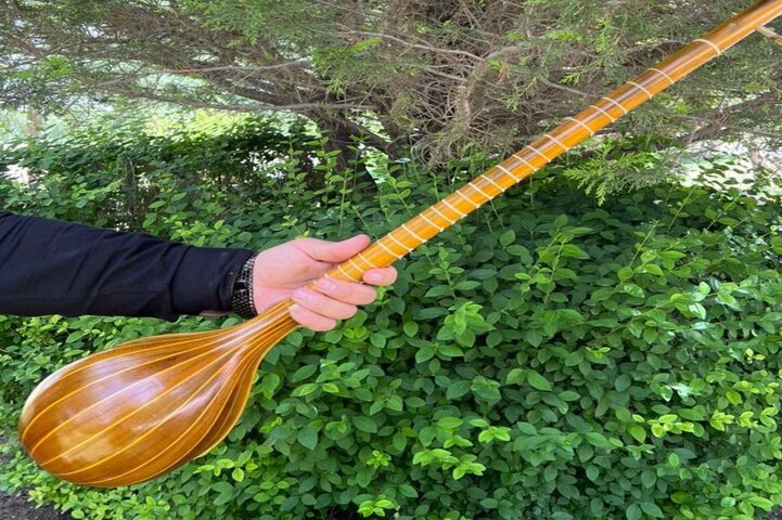 بهترین آموزشگاه های سه تار بوشهر