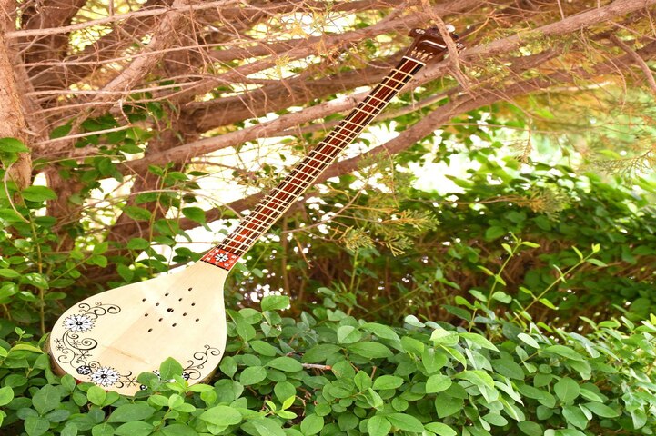 بهترین آموزشگاه های سه تار گرگان