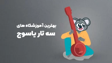 بهترین آموزشگاه های سه تار یاسوج