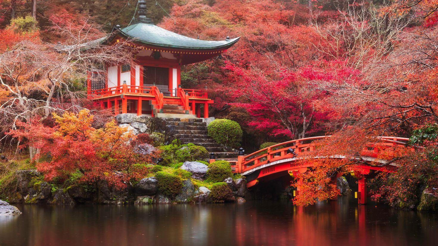 بهترین آموزشگاه های زبان کره ای رشت