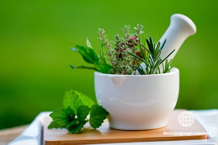 بهترین آموزشگاه های طب سنتی تهران