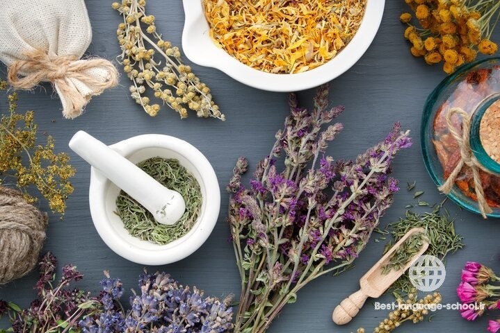 بهترین آموزشگاه های طب سنتی تبریز