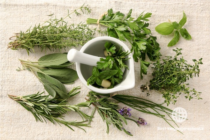 بهترین آموزشگاه های طب سنتی بندرعباس