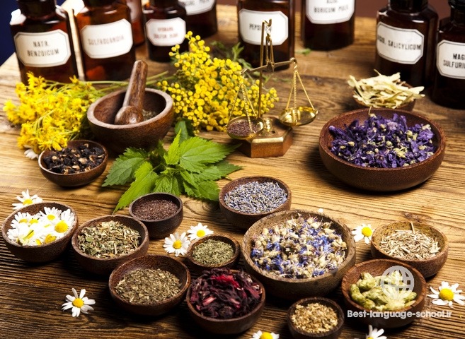 بهترین آموزشگاه های طب سنتی بوشهر