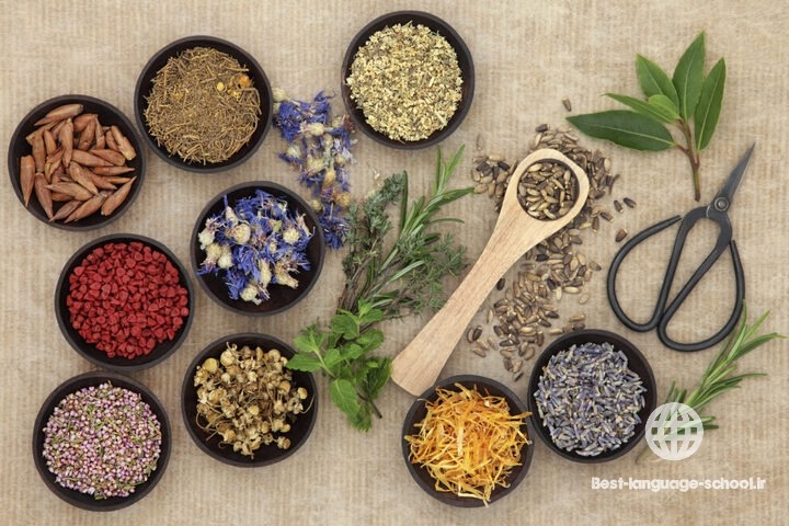 بهترین آموزشگاه های طب سنتی اصفهان