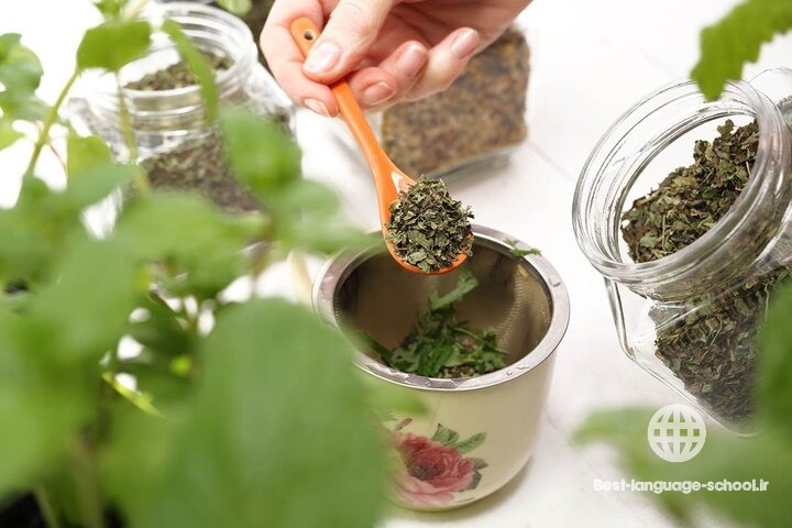 بهترین آموزشگاه های طب سنتی همدان