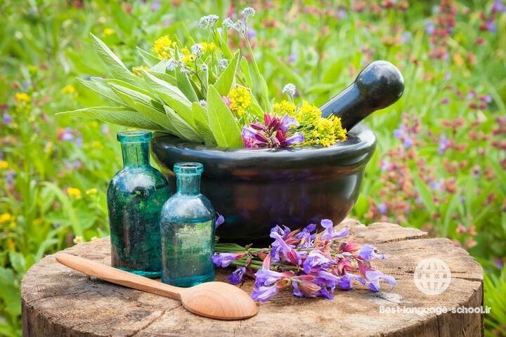 بهترین آموزشگاه های طب سنتی بجنورد 